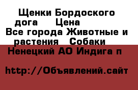 Щенки Бордоского дога.  › Цена ­ 30 000 - Все города Животные и растения » Собаки   . Ненецкий АО,Индига п.